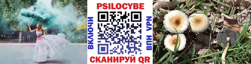 Галлюциногенные грибы Psilocybe  купить наркотики цена  Буй 