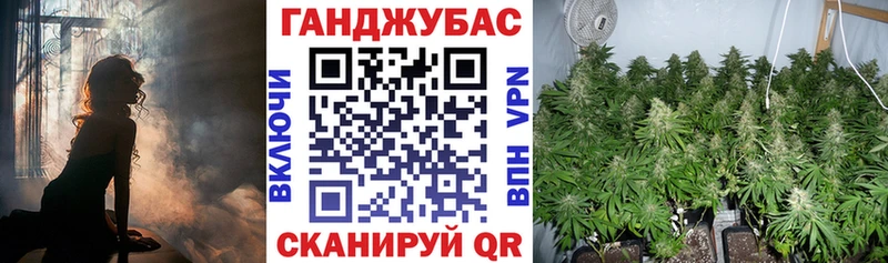 как найти закладки omg вход Шишки марихуана план Буй